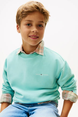 sweater blauw