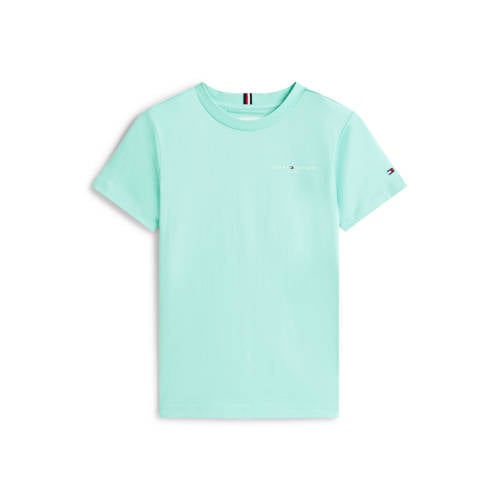 Tommy Hilfiger T-shirt Blauw Jongens/Meisjes Katoen Ronde hals Logo - maat 116 afbeelding
