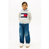 Tommy Hilfiger hoodie lichtgrijs