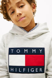 thumbnail: Tommy Hilfiger hoodie lichtgrijs