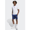 adidas Sportswear sportset wit/blauw