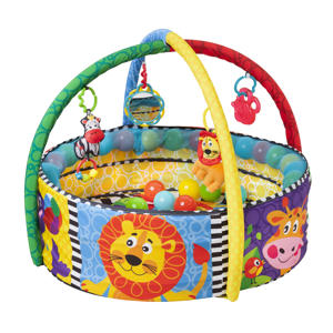  Activiteiten Ballenbak