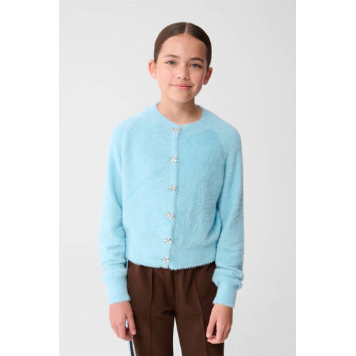 Shoeby vest blauw fijn gebreid Meisjes Polyamide Ronde hals Effen - maat 158/164 afbeelding
