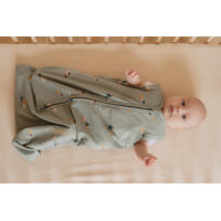 thumbnail: Puckababy The Bag Newborn baby slaapzak 0-6 mnd Groen/multicolor