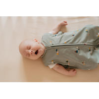 thumbnail: Puckababy The Bag Newborn baby slaapzak 0-6 mnd Groen/multicolor