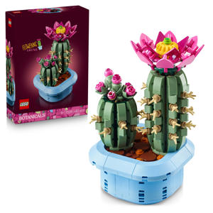 Bloeiende Cactus Planten Decoratie Set 11509