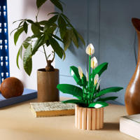 thumbnail: LEGO Botanical Collection Lepelplant Bloemen Decoratie Bouwpakket 11504