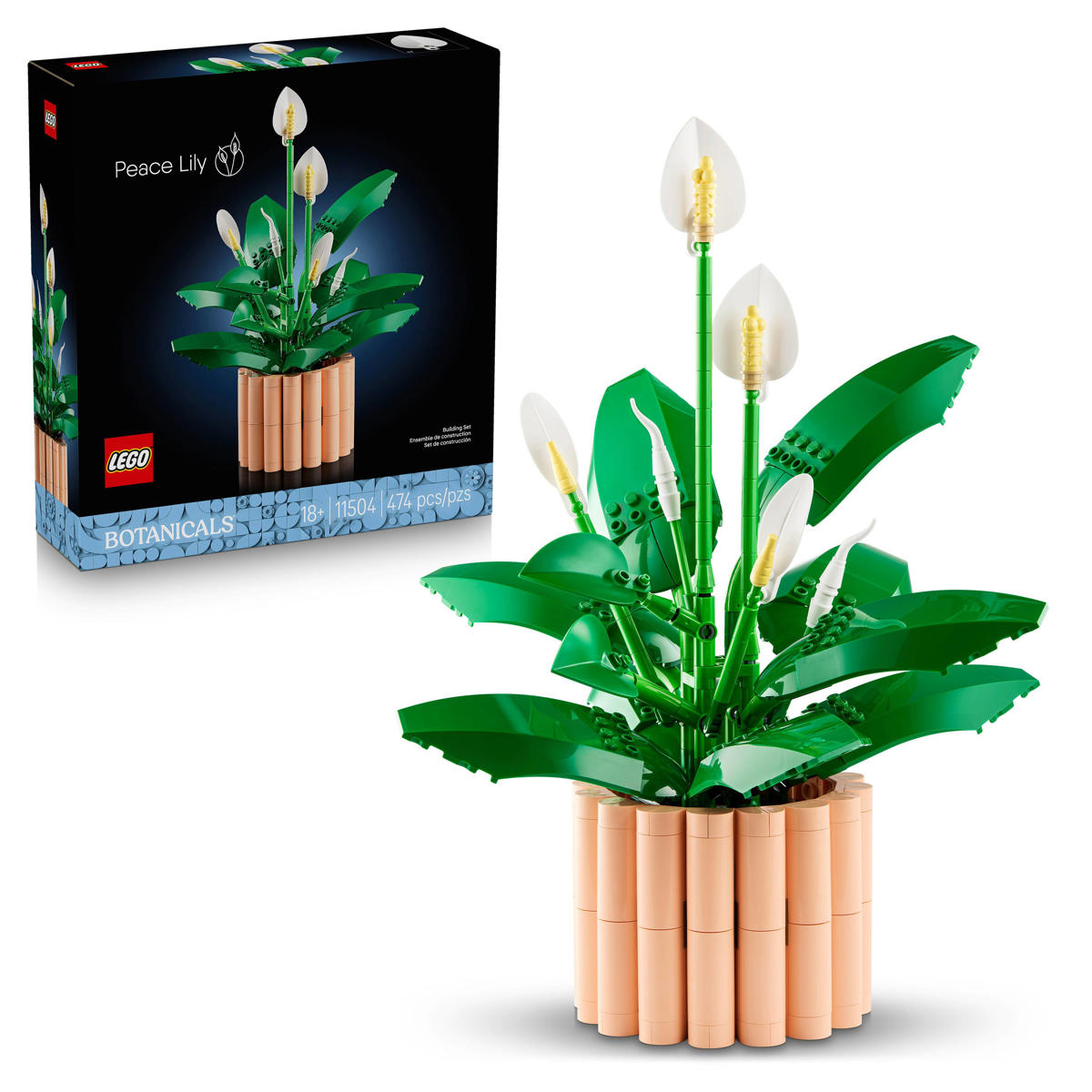Rowood Wooden Bloom Box - houten bloemen als ideale Moederdagcadeau