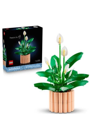 Lepelplant Bloemen Decoratie Bouwpakket 11504