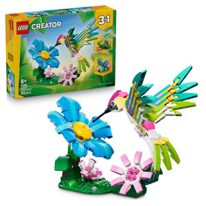 Wilde dieren: kleurrijke kolibrie 31384 