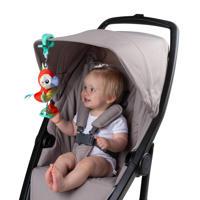 thumbnail: PLAYGRO  Dingly Dangly Mio Macaw