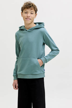 hoodie zeegroen