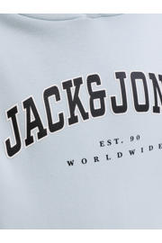 thumbnail: JACK & JONES JUNIOR hoodie blauw