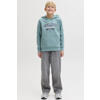 JACK & JONES JUNIOR hoodie lichtgroen