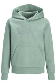 thumbnail: Lichtgroene jongens JACK & JONES JUNIOR hoodie van katoen met logo dessin, lange mouwen en capuchon