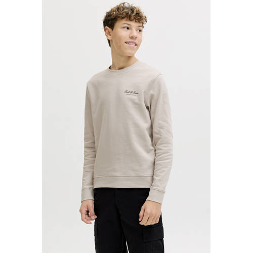 JACK & JONES JUNIOR sweater beige Effen - maat 164 afbeelding