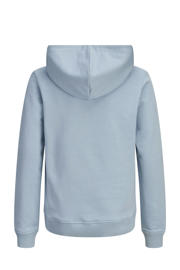 thumbnail: JACK & JONES JUNIOR hoodie lichtblauw