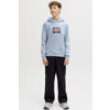 JACK & JONES JUNIOR hoodie lichtblauw