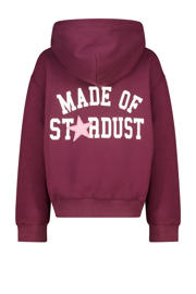 thumbnail: America Today sweater met backprint donkerrood