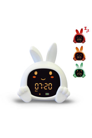 Sleeptrainer Sarah