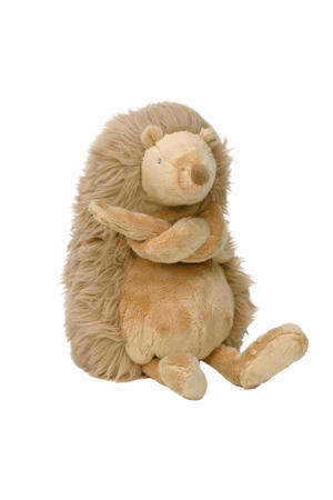 Hedgehog Hedwig