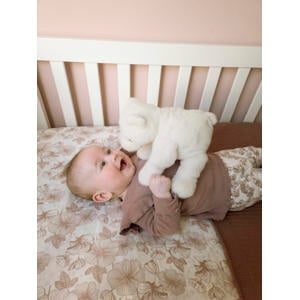 Ice bear Izzy no. 2
