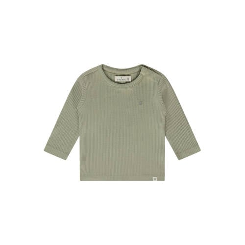 A Tiny Story longsleeve groen Jongens/Meisjes Katoen Ronde hals Effen - maat 62 afbeelding