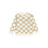 Dirkje geruit sweater beige