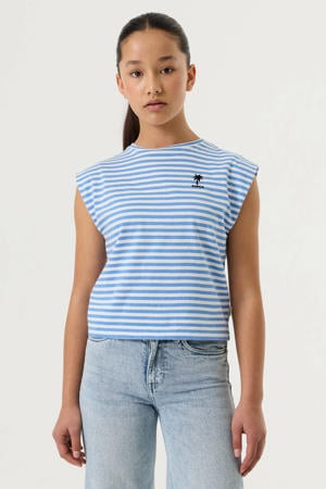 gestreept T-shirt blauw