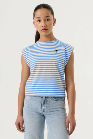 gestreept T-shirt blauw