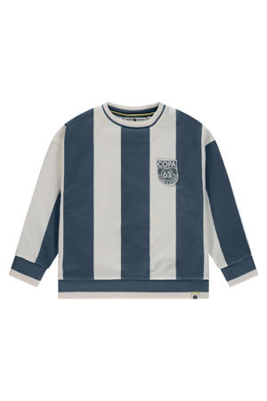 gestreepte sweater blauw