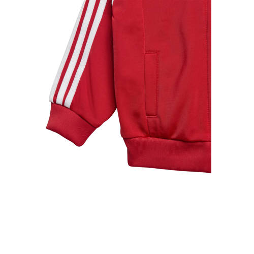 adidas Originals trainingspak Superstar rood Joggingpak Jongens/Meisjes Polyester Ronde hals