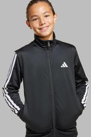 thumbnail: adidas Sportswear trainingspak zwart