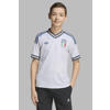 adidas Performance Junior voetbalshirt Italië Uit