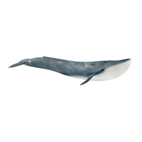 Schleich Wild Life Blauwe vinvis Dieren speelset | Dieren speelset van Schleich afbeelding
