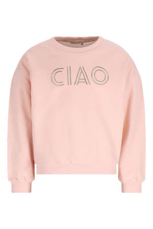 sweater lichtroze