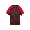 Puma voetbalshirt rood
