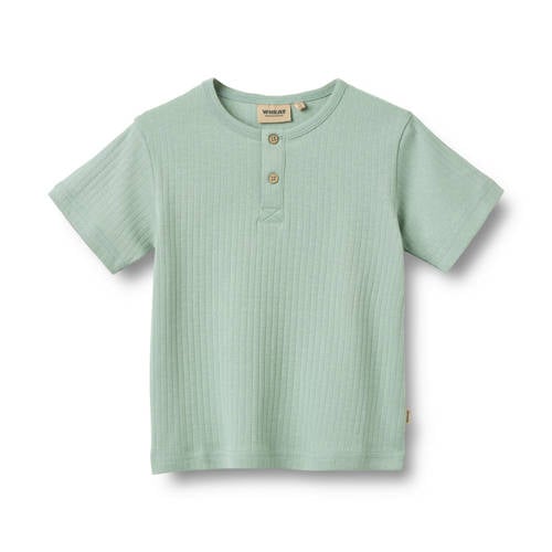 Wheat T-shirt lichtgroen Jongens Katoen Henleykraag Effen - maat 98 afbeelding