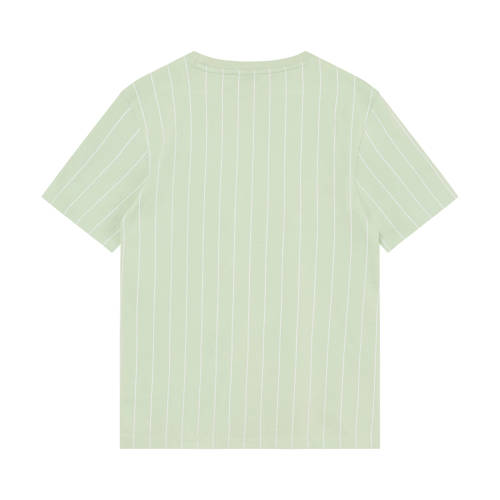 Indian Blue Jeans gestreepte T-shirt lichtgroen Jongens Katoen Ronde hals - maat 152 afbeelding
