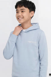 thumbnail: JJ REBEL JUNIOR hoodie lichtblauw