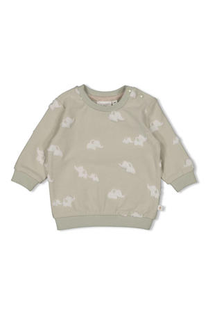 sweater Elephant mintgroen