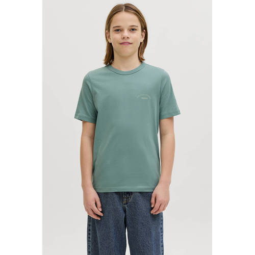 JACK & JONES JUNIOR T-shirt mintgroen Jongens Katoen Ronde hals Effen - maat 140 afbeelding