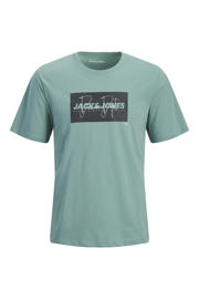 thumbnail: Mintgroene jongens JACK & JONES JUNIOR T-shirt van katoen met logo dessin, korte mouwen en ronde hals