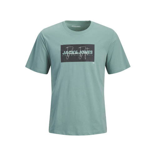 JACK & JONES JUNIOR T-shirt mintgroen Jongens Katoen Ronde hals Logo - maat 176 afbeelding