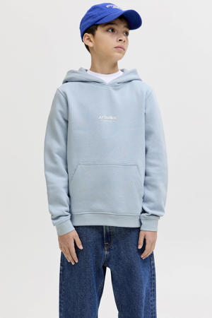 hoodie lichtblauw