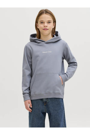 hoodie lichtblauw