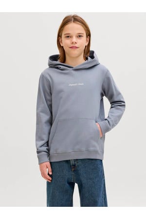 hoodie lichtblauw