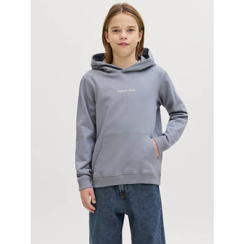 JACK & JONES JUNIOR hoodie lichtblauw Sweater Jongens Katoen Capuchon Tekst - maat 176 afbeelding