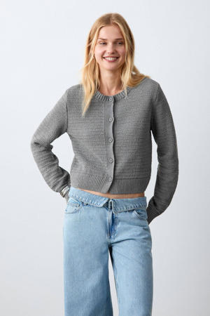 vest grijs grof gebreid