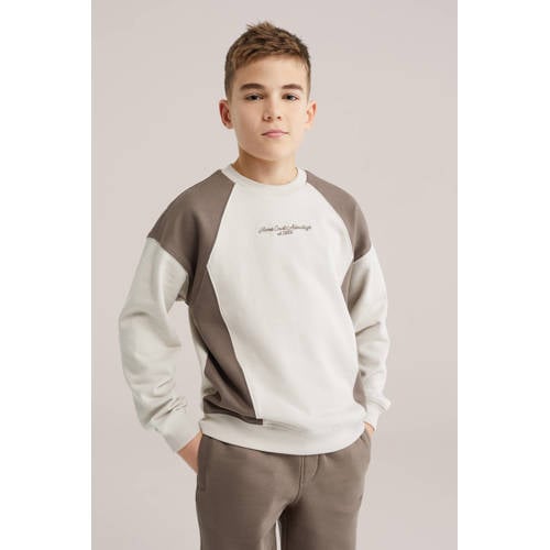 WE Fashion sweater beige Meerkleurig - maat 122/128 afbeelding